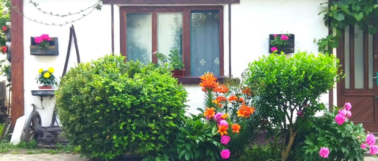 Casa Din Coltul Cetatii Vila Hărman Exterior foto